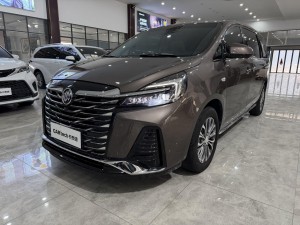 Buick GL8 2024