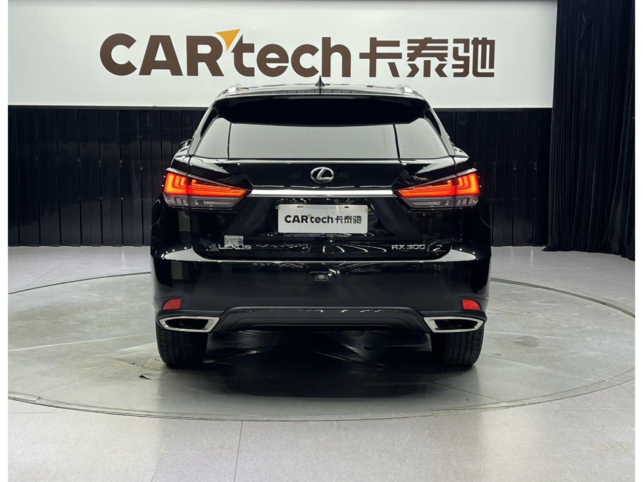 Lexus RX 300 2022