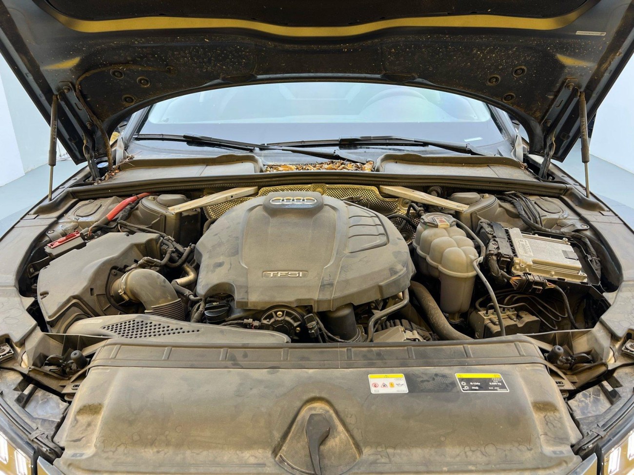 Audi A4L 40 TFSI 2021