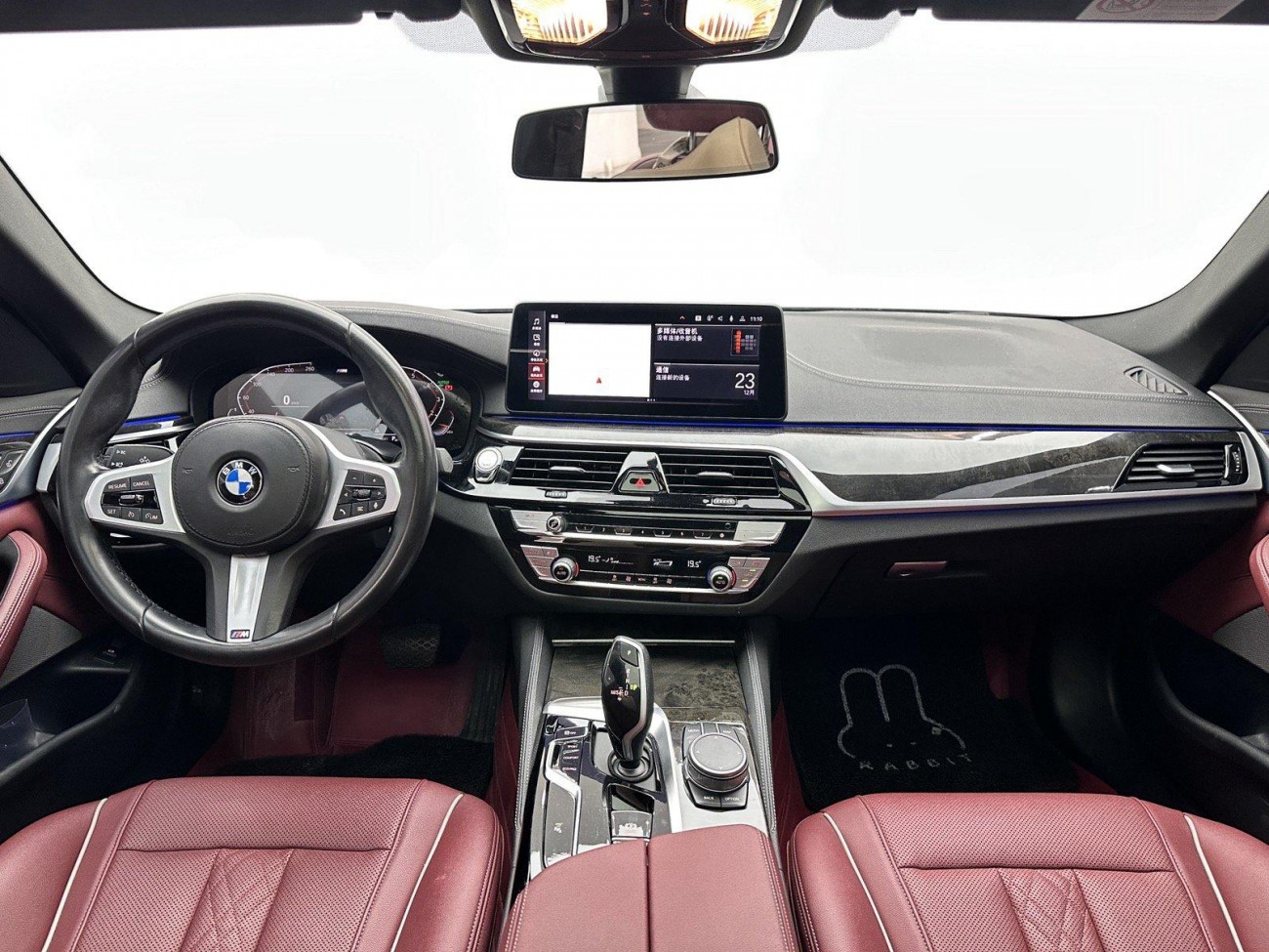 BMW 525Li 2021