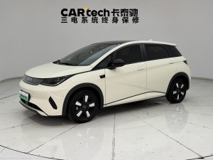 BYD Dolphin 2025