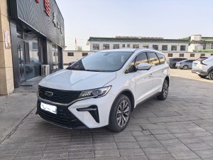 Geely 2025 2024