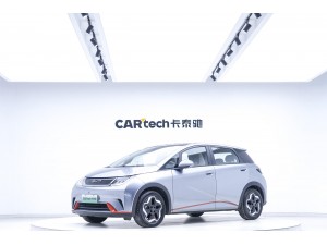 BYD Dolphin 2023