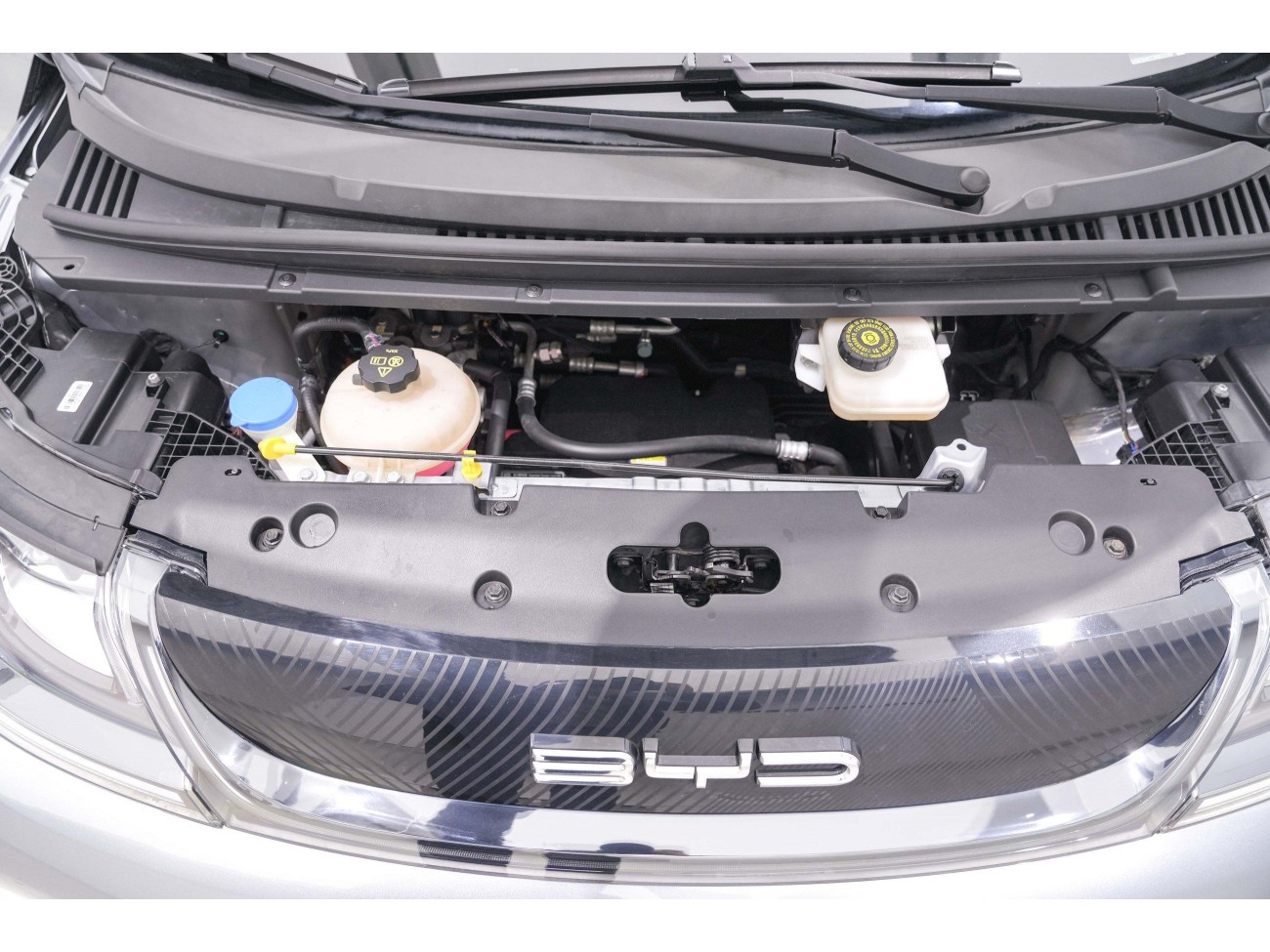 BYD Dolphin 2023