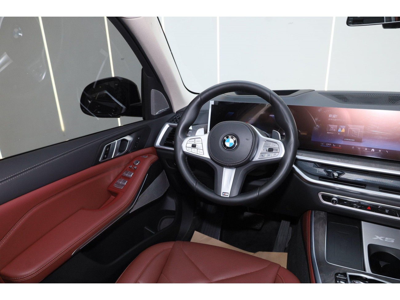 BMW X5 2024