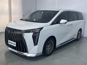 Trumpchi M8 2024