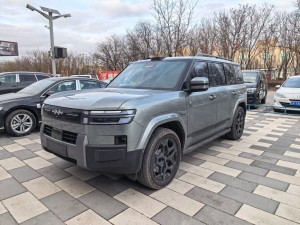 Fang Cheng Bao 7 2025