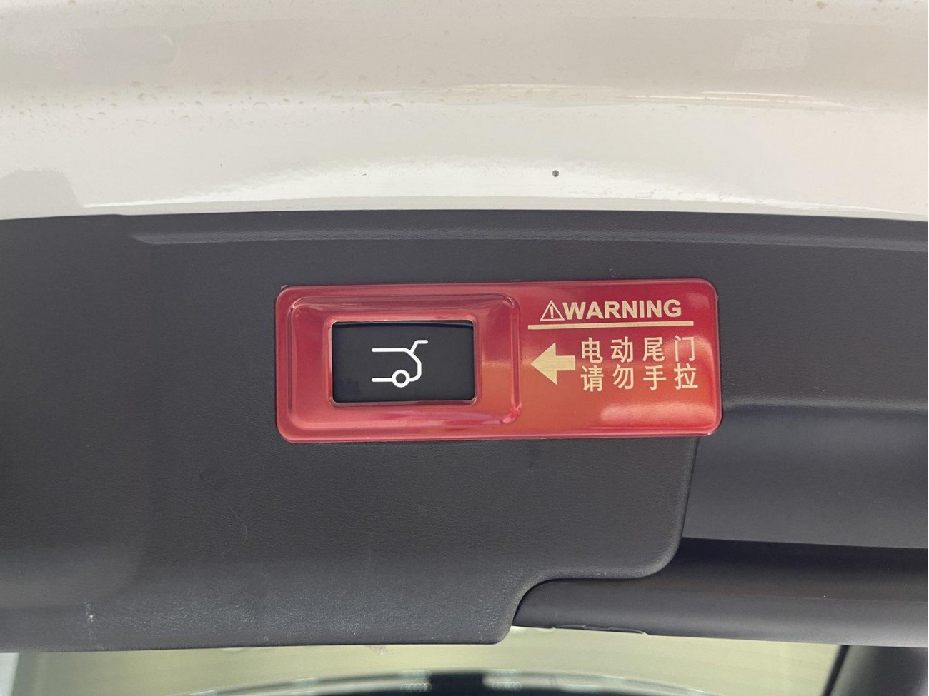 Leapmotor C11 2024