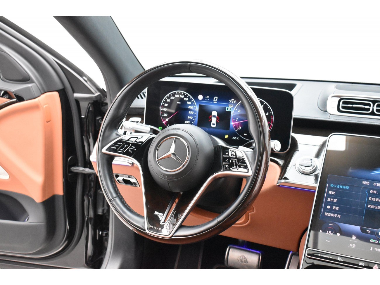 Mercedes-Benz S 480 4MATIC 2021