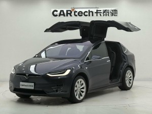 Tesla Model X 2020