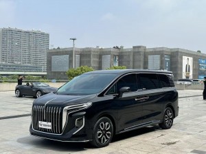 Hongqi HQ9 2024