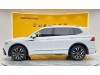 Volkswagen Tiguan L 2023