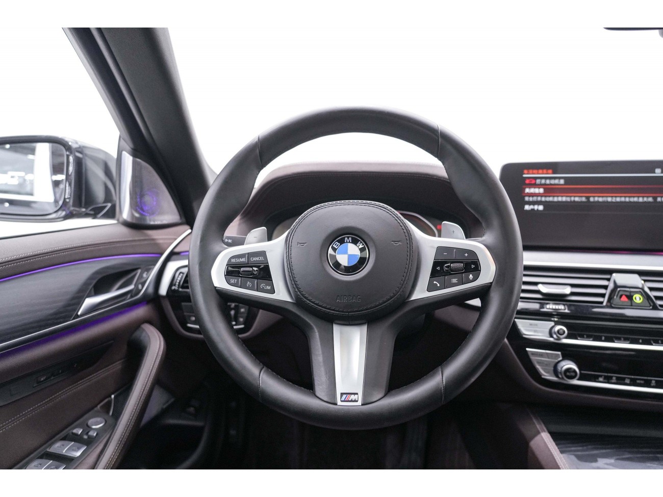 BMW 530Li 2021