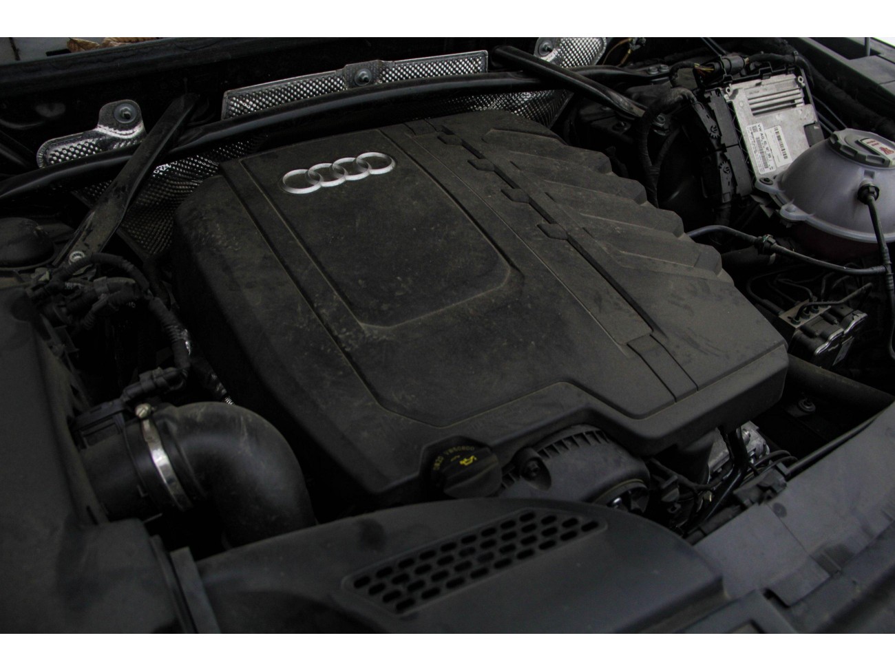 Audi Q5L 40 2024
