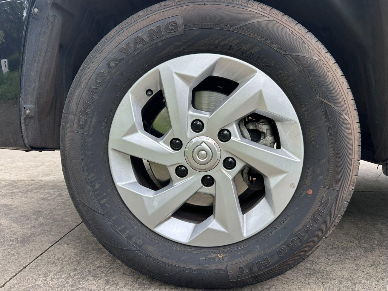 Great Wall 2024 2025