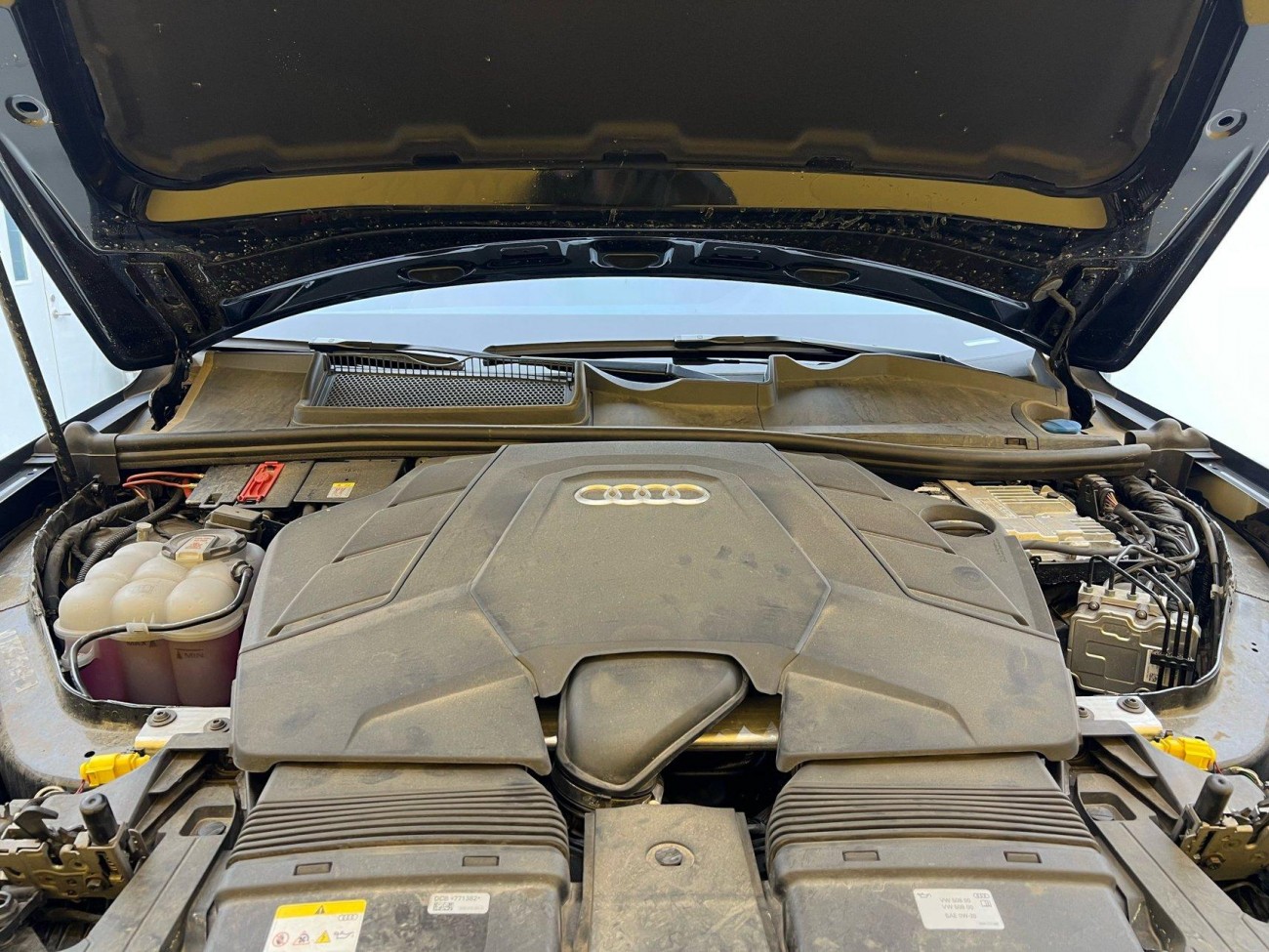 Audi Q7 55 TFSI 2025