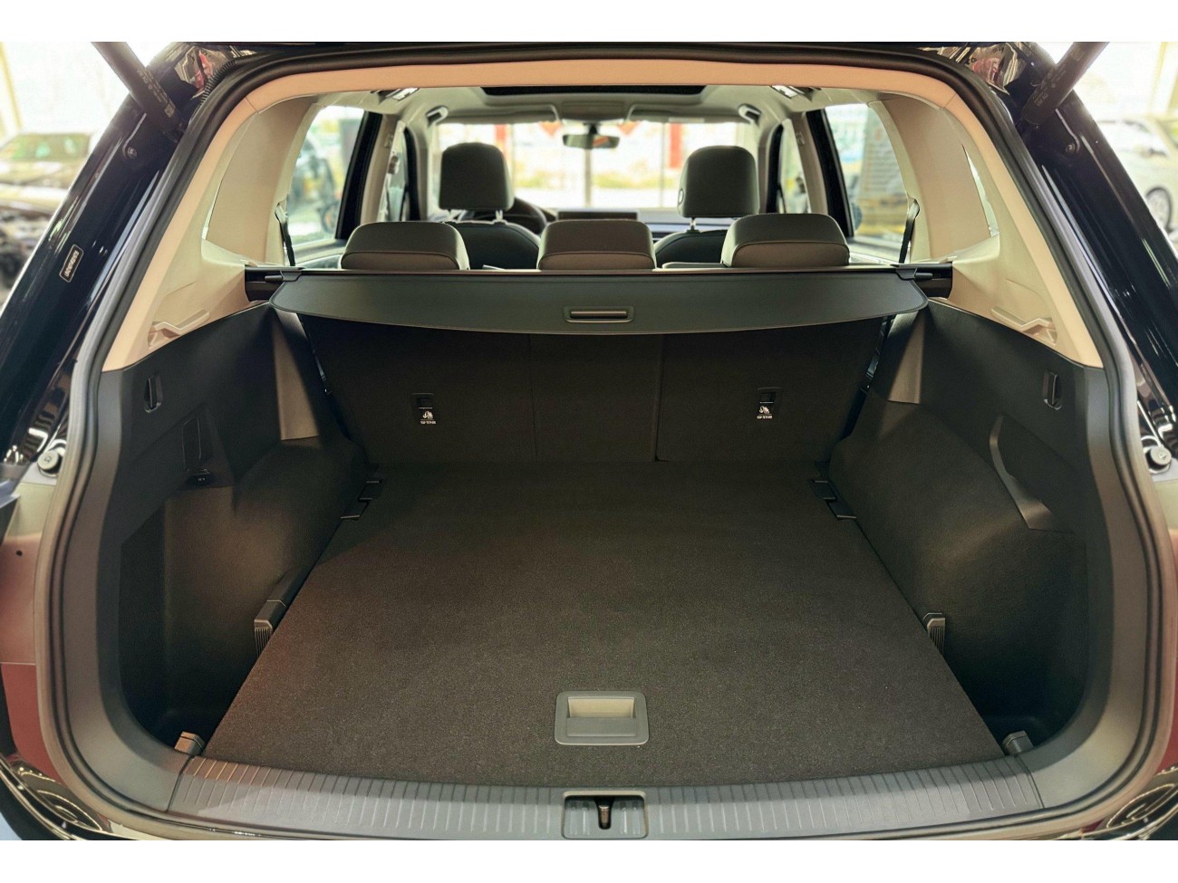 Volkswagen Tiguan L 2024