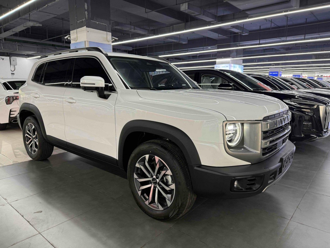 Haval Big Dog 2024