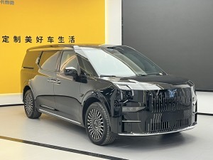 Zeekr 009 2025