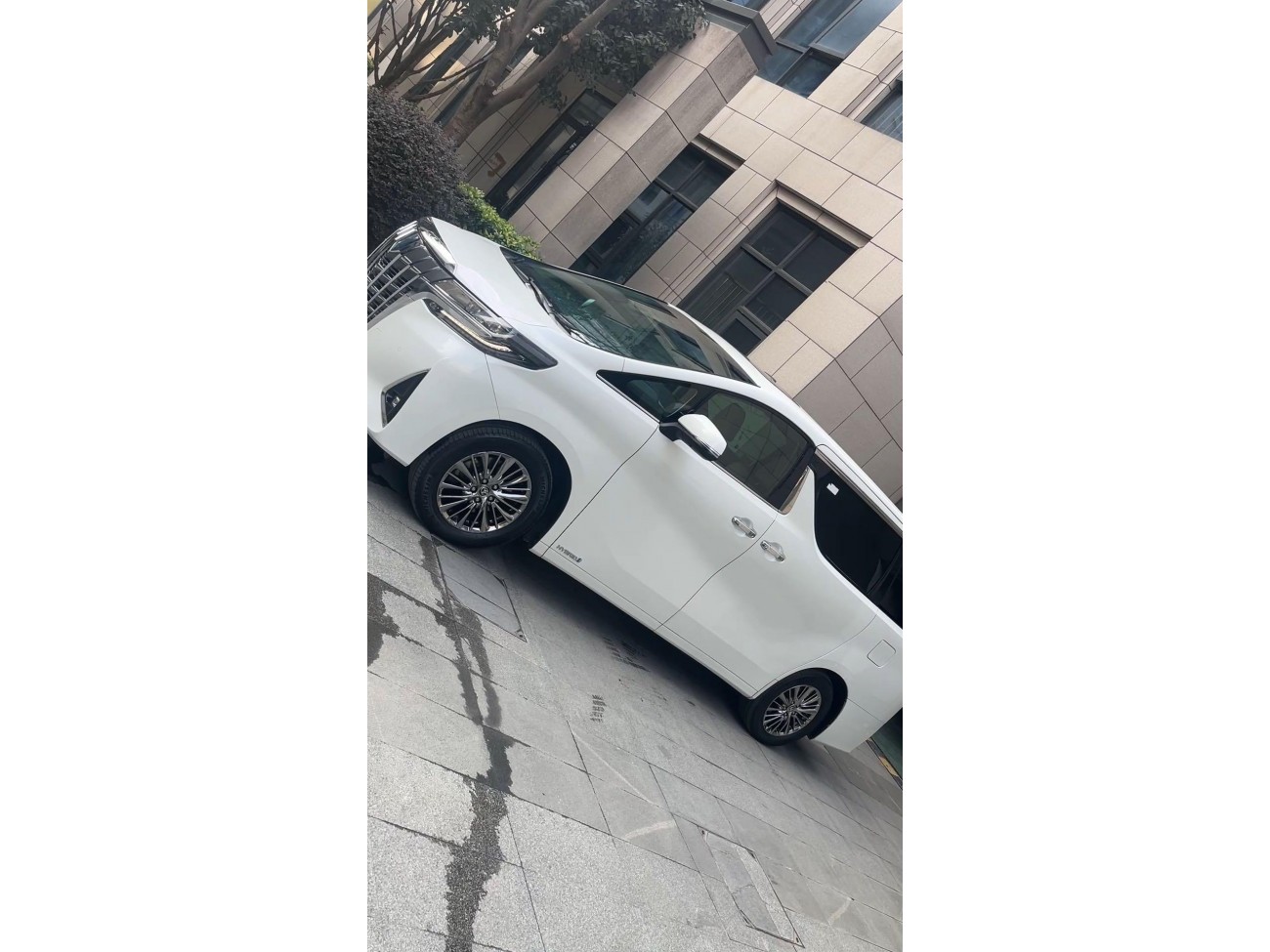 Toyota Alphard 2022