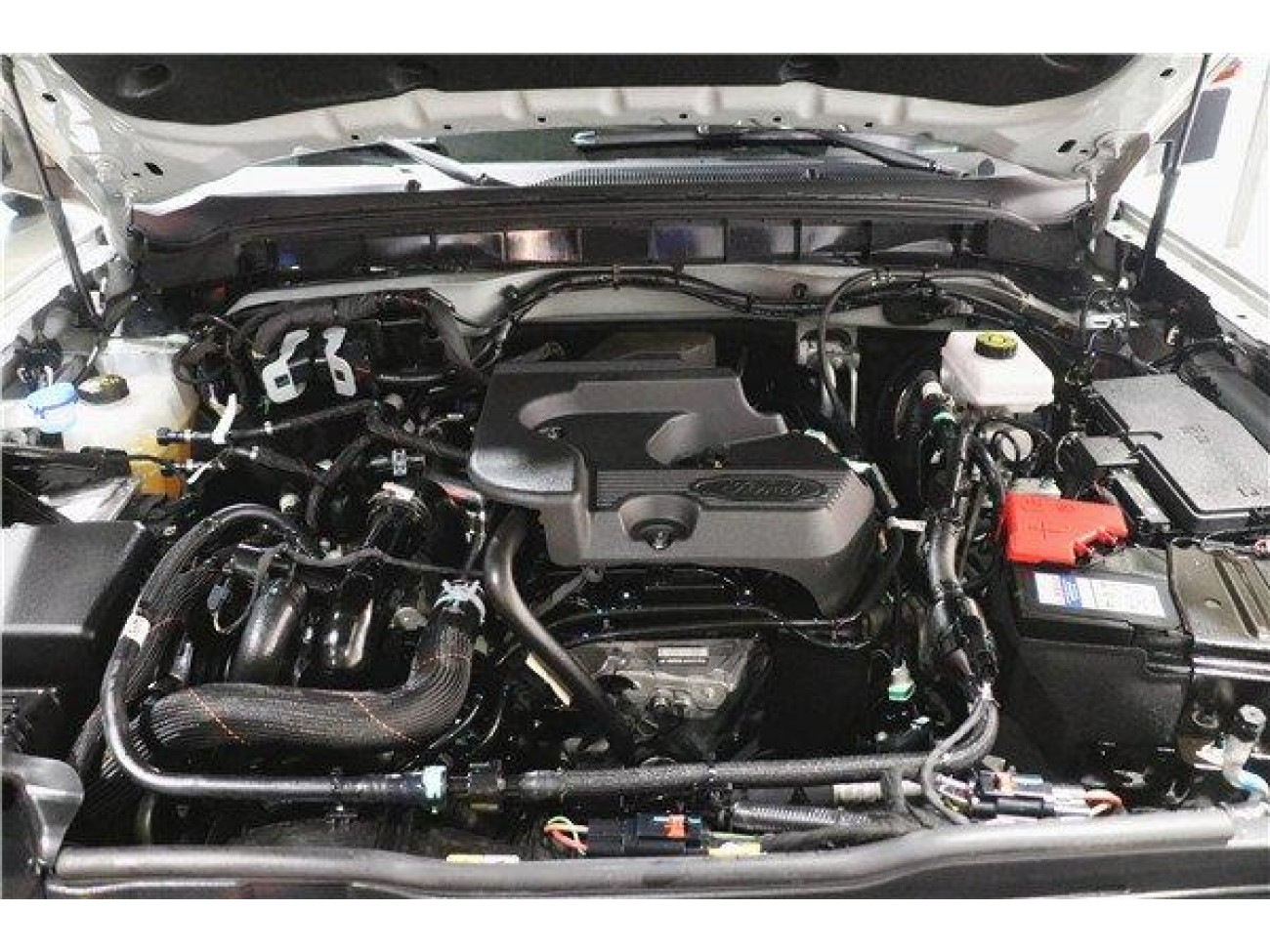 Ford 2024 2024