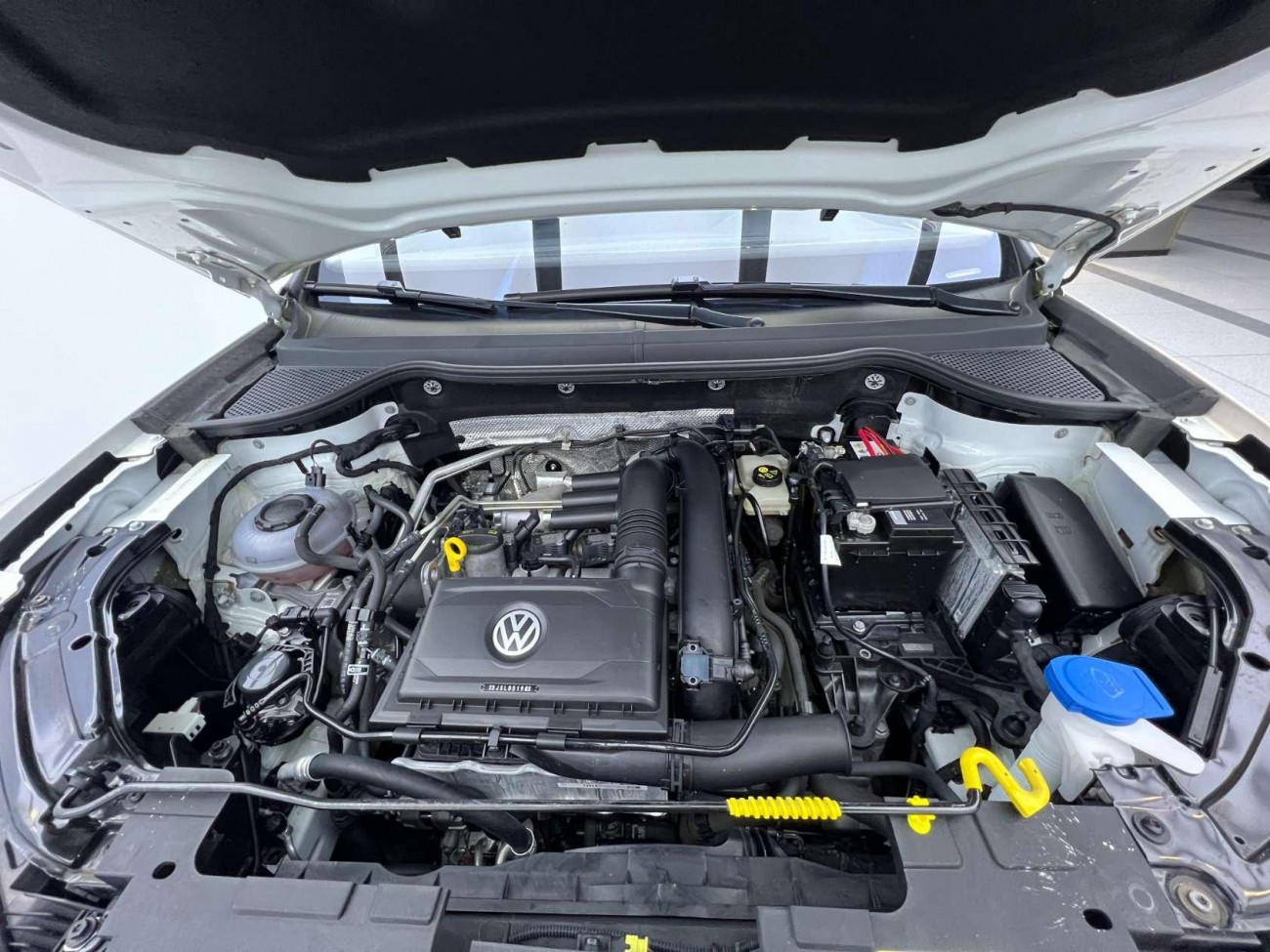 Jetta VS7 2022