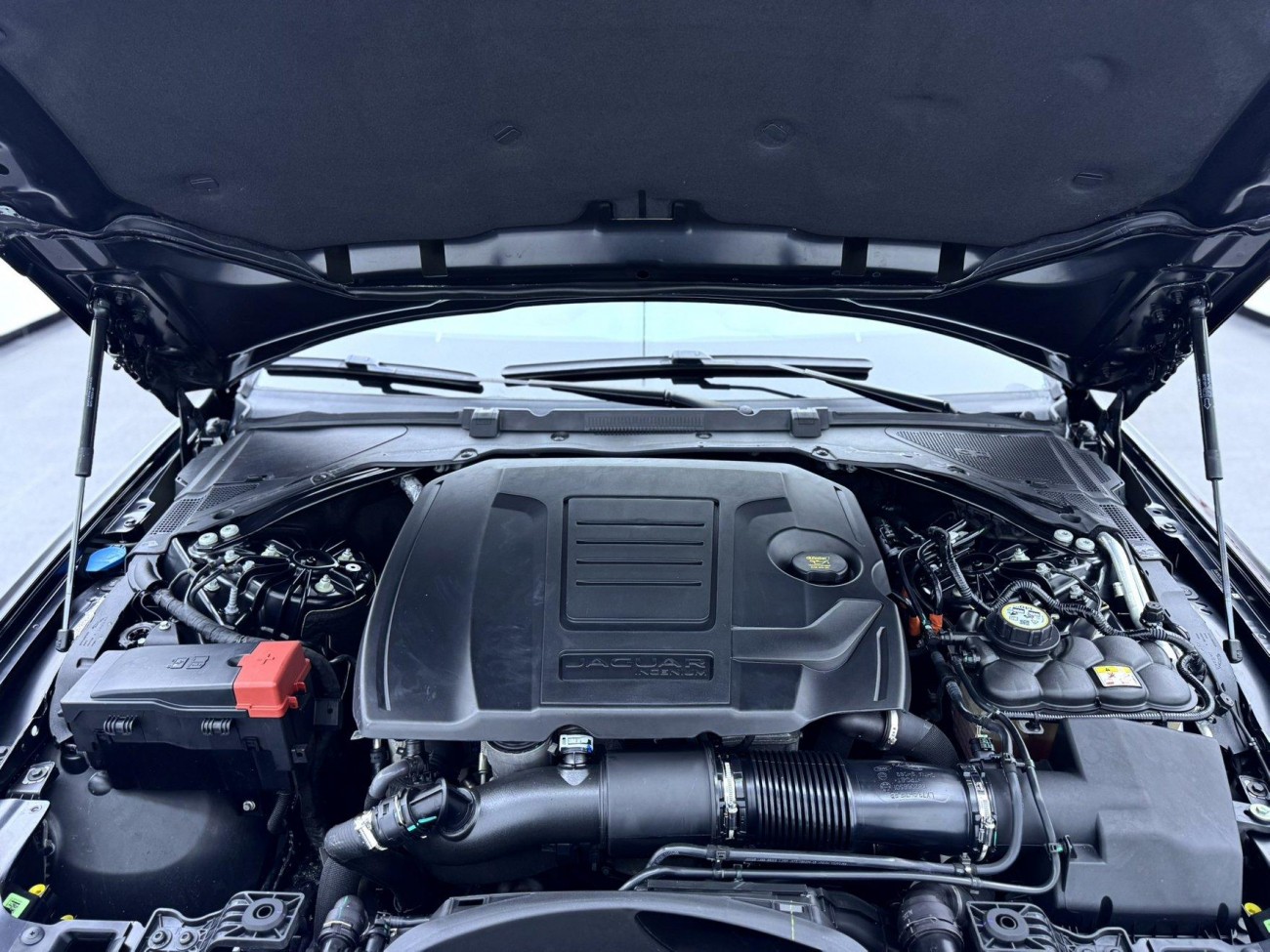 Jaguar XEL 2023