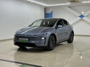 Tesla Model Y 2025