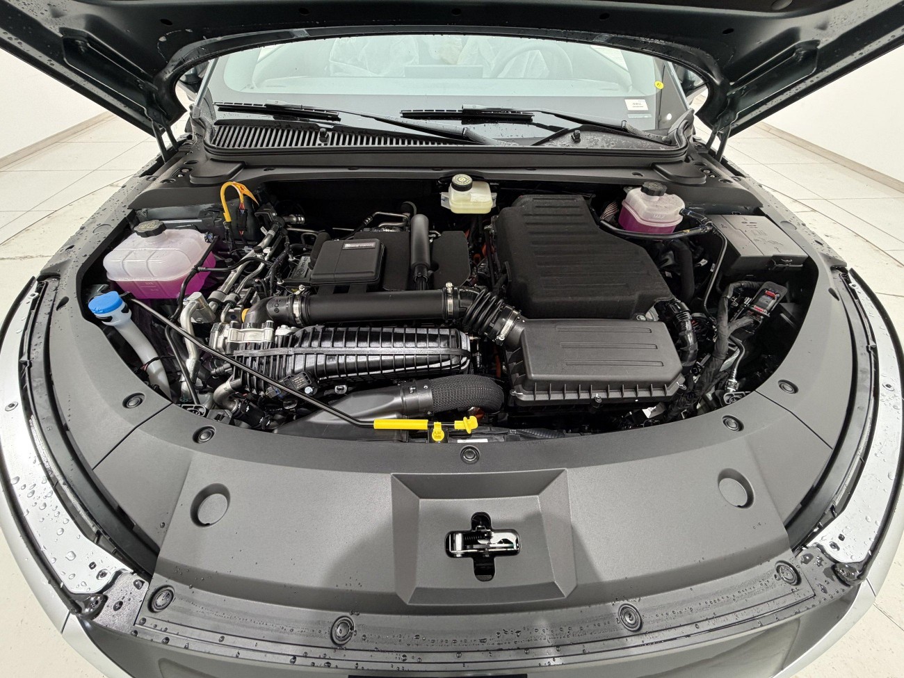 BYD Qin 2026