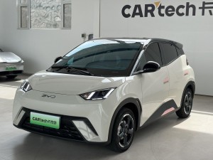 BYD Seagull 2024
