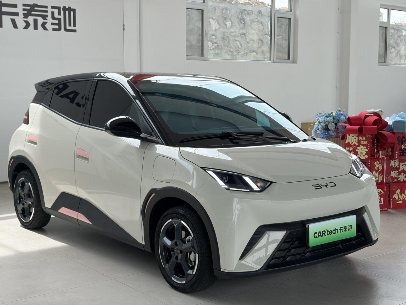 BYD Seagull 2024