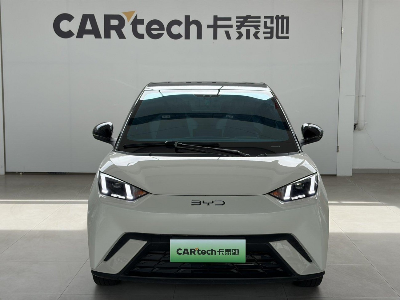 BYD Seagull 2024