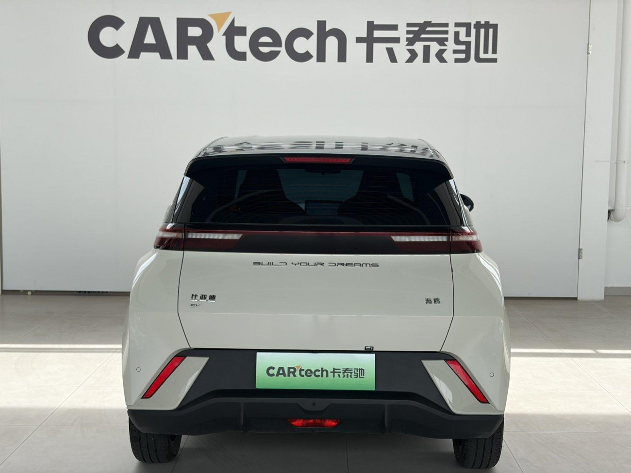 BYD Seagull 2024