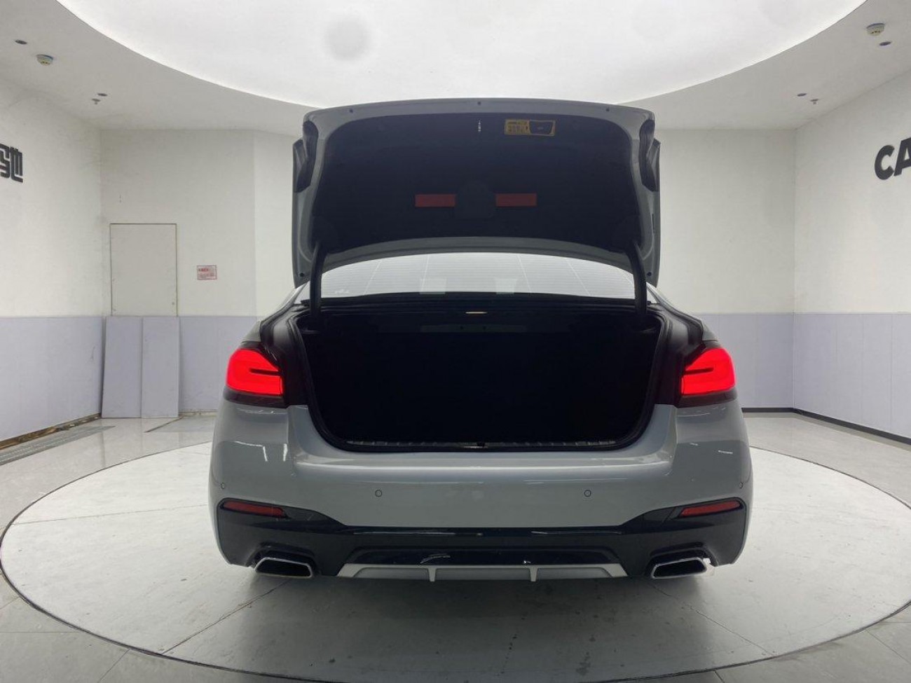 BMW 530Li 2021