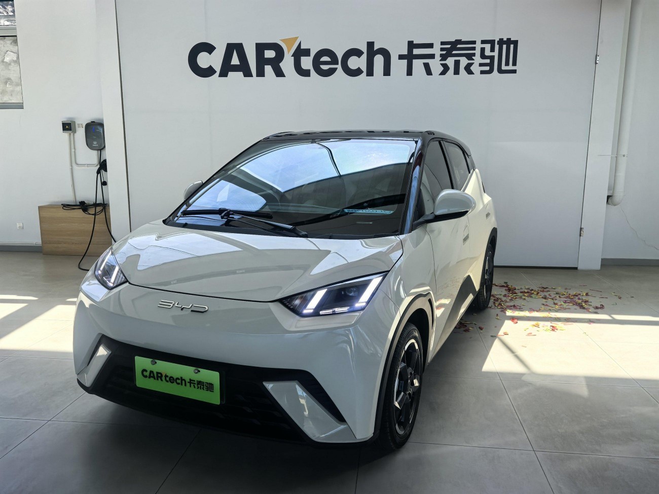 BYD Seagull 2024