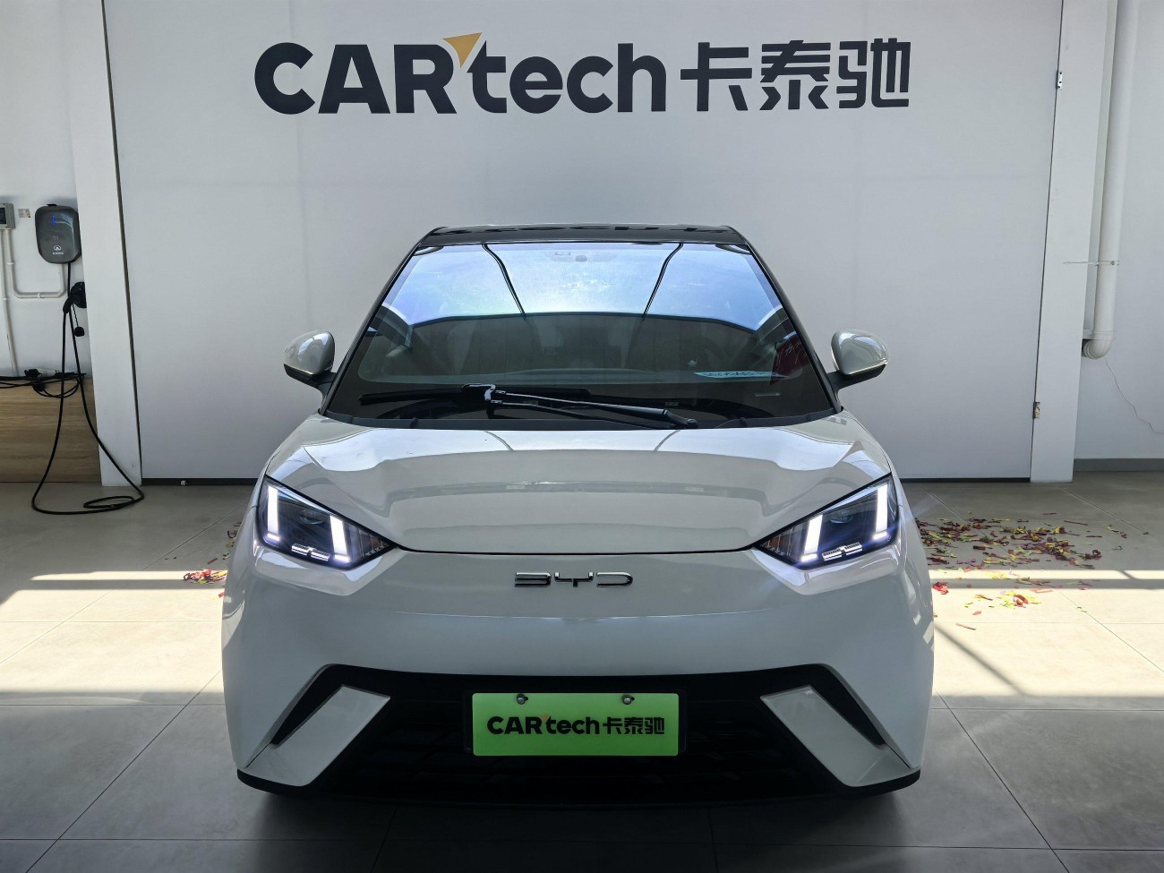 BYD Seagull 2024