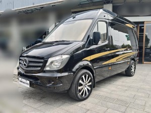 Mercedes-Benz 2018 2019