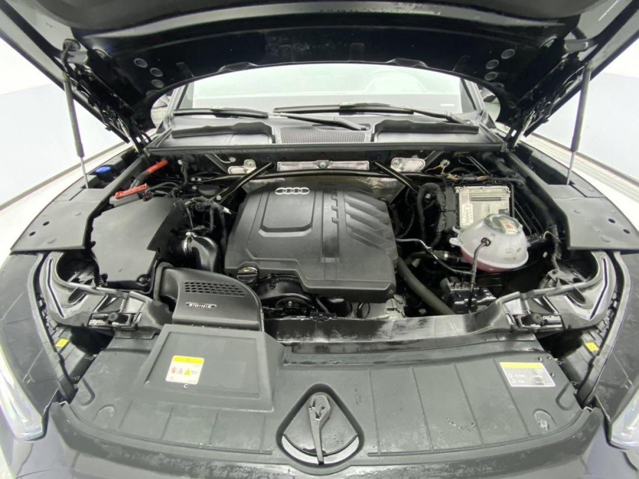 Audi Q5L 40 2023