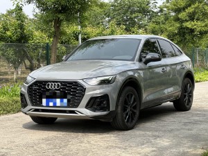 Audi Q5L 2021