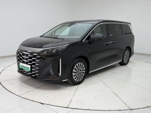 BYD 2025 2025