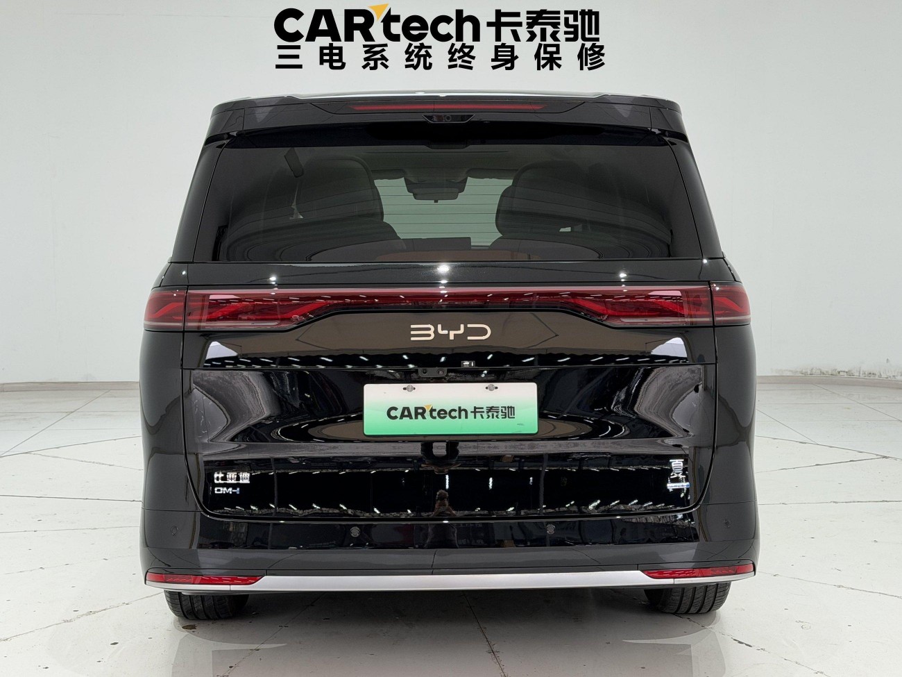 BYD 2025 2025