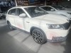Skoda Kamiq 2020