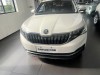 Skoda Kamiq 2020