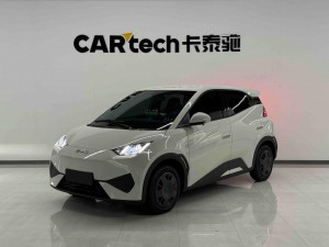 BYD Seagull 2025