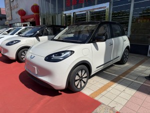 Wuling 2025 2026