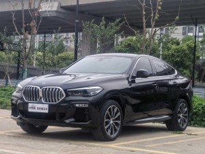 BMW X6 2021