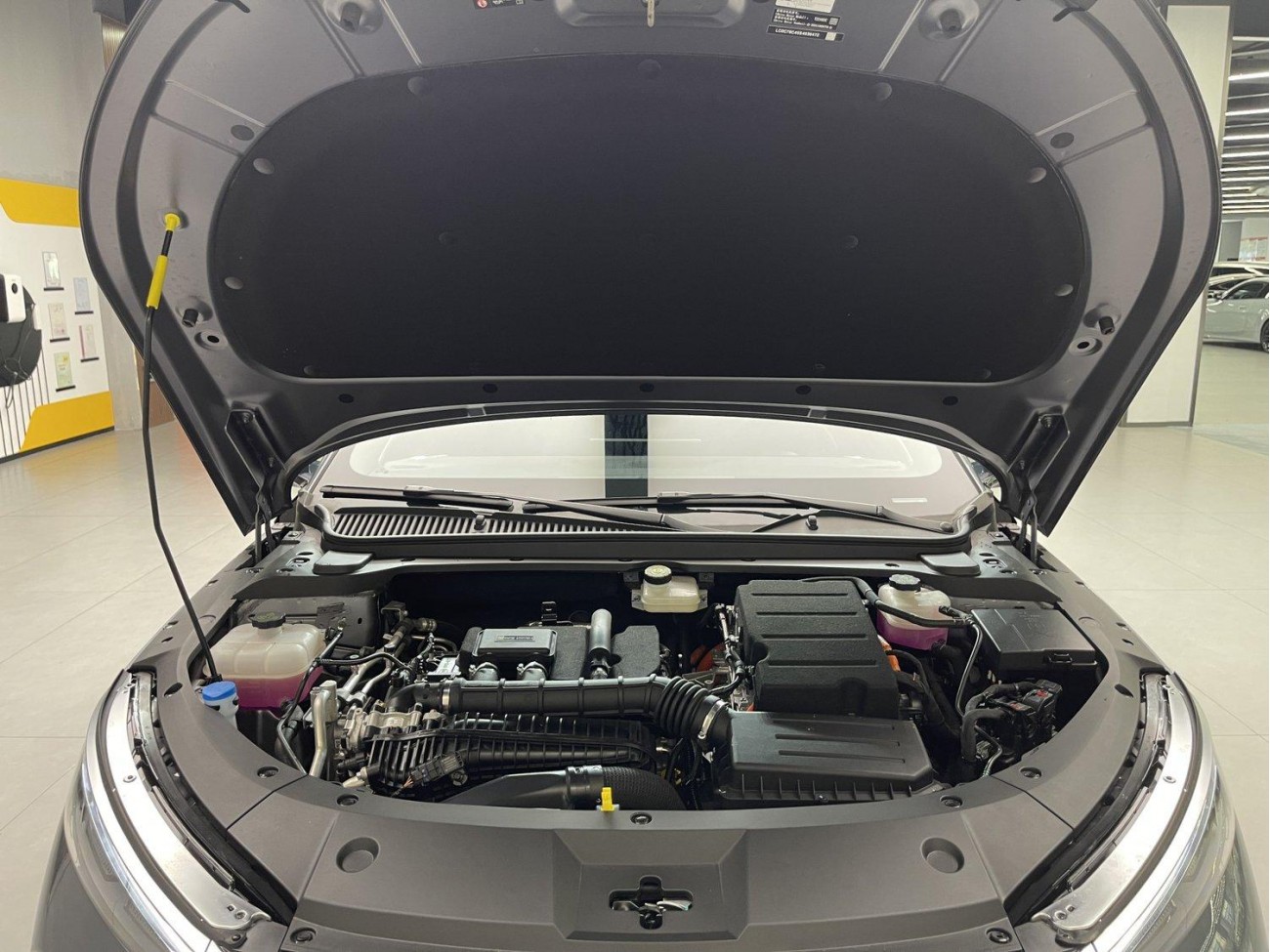 BYD Qin 2025