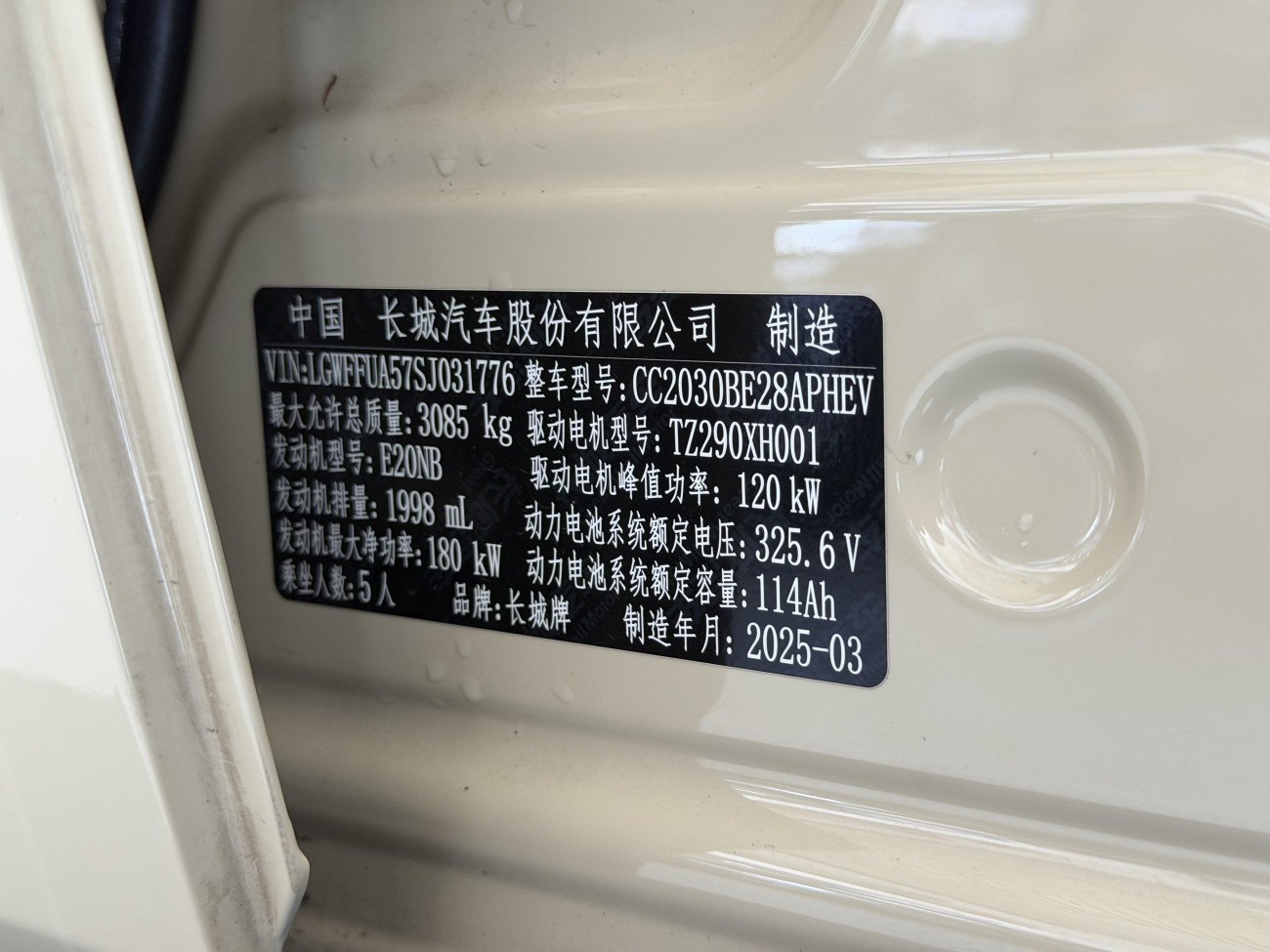 Tank 300 2025