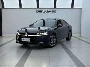 Volkswagen Magotan 2024
