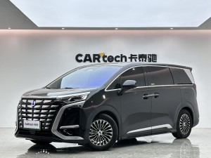 Denza D9 2024